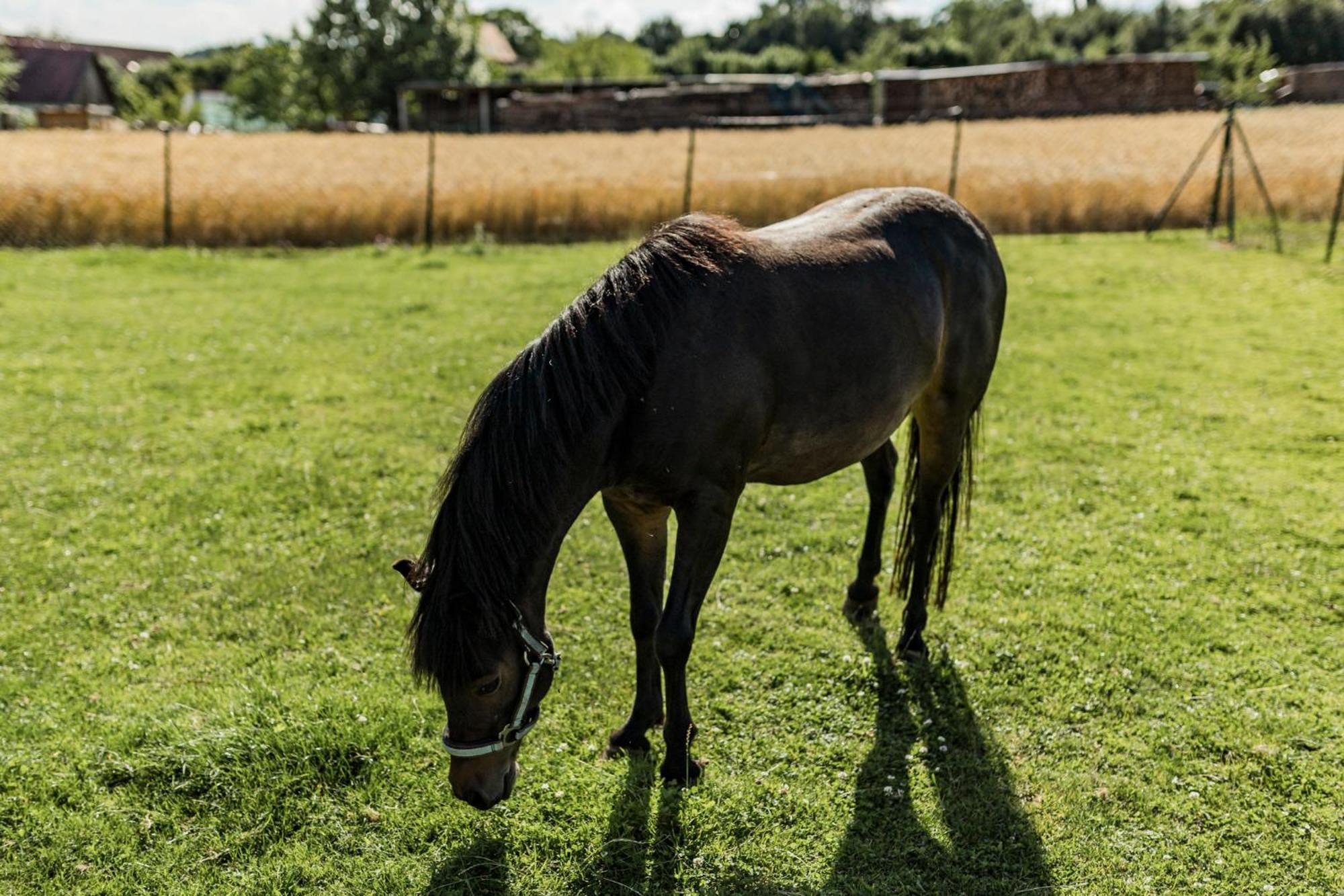 Ferienhof Hofer Absberg Exteriér fotografie